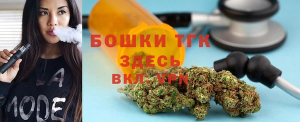 винт Болотное