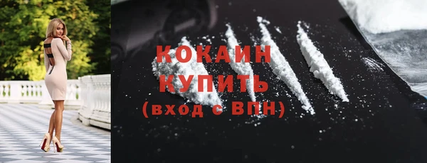 винт Болотное