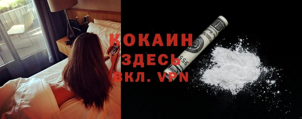 винт Болотное