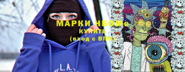 винт Болотное