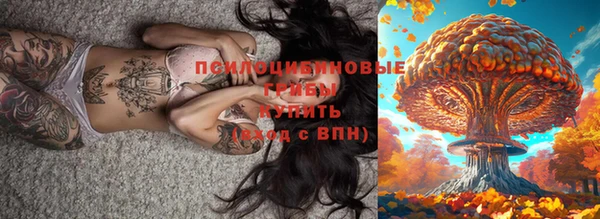 шишки Валуйки