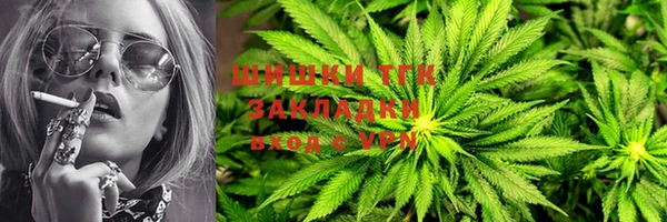 винт Болотное