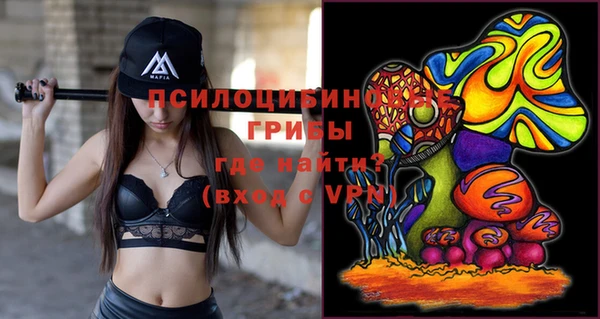 винт Болотное