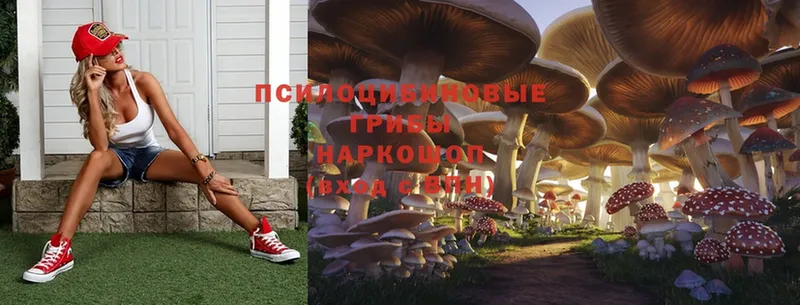 Галлюциногенные грибы MAGIC MUSHROOMS  купить закладку  Калач-на-Дону 