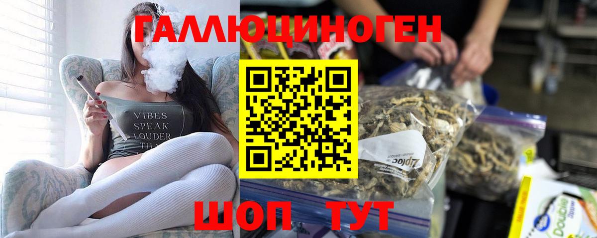 Псилоцибиновые грибы Magic Shrooms  Вход с VPN  Калач-на-Дону 