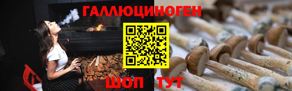 Псилоцибиновые грибы Cubensis  Псилоцибиновые грибы мухоморы  Калач-на-Дону 